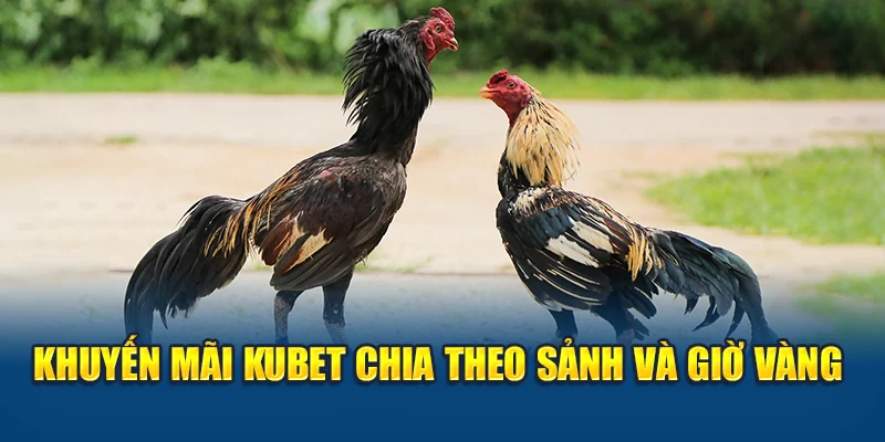Khuyến mãi Kubet chia theo sảnh và giờ vàng