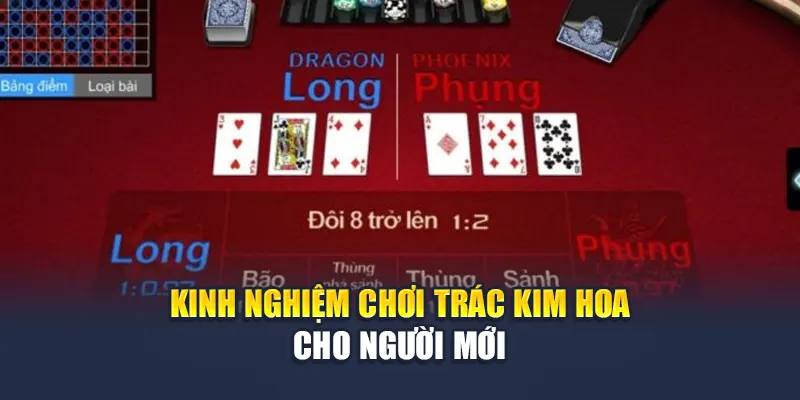 Kinh nghiệm chơi Trác Kim Hoa cho người mới