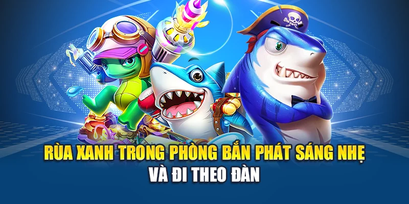 Rùa xanh trong phòng bắn phát sáng nhẹ và đi theo đàn