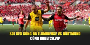 Soi Kèo Bóng Đá Fluminense Vs Dortmund Cùng findservices.in.net