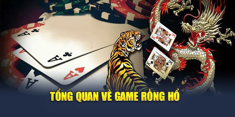 Tổng quan về game rồng hổ