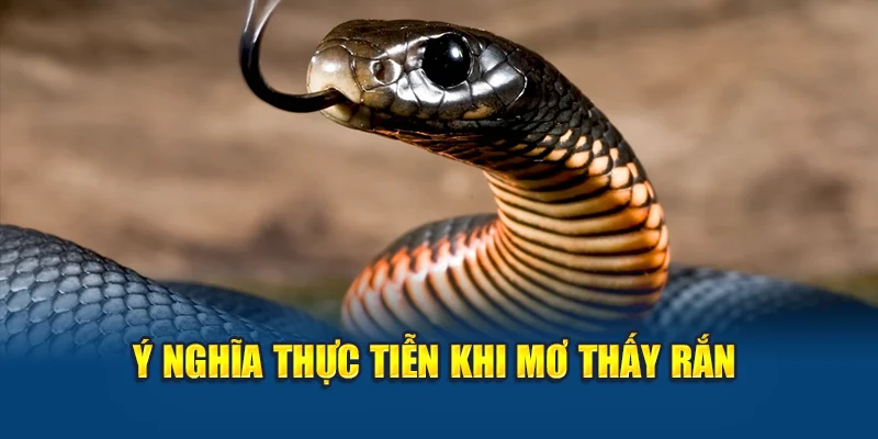 Ý nghĩa thực tiễn khi mơ thấy rắn